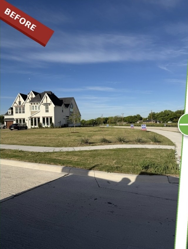 Before: front lawn
