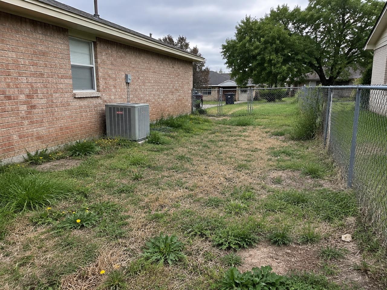 Before: side yard